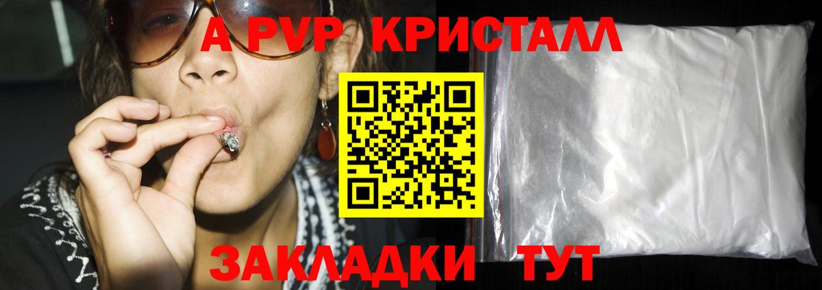 Альфа ПВП СК КРИС Боровичи