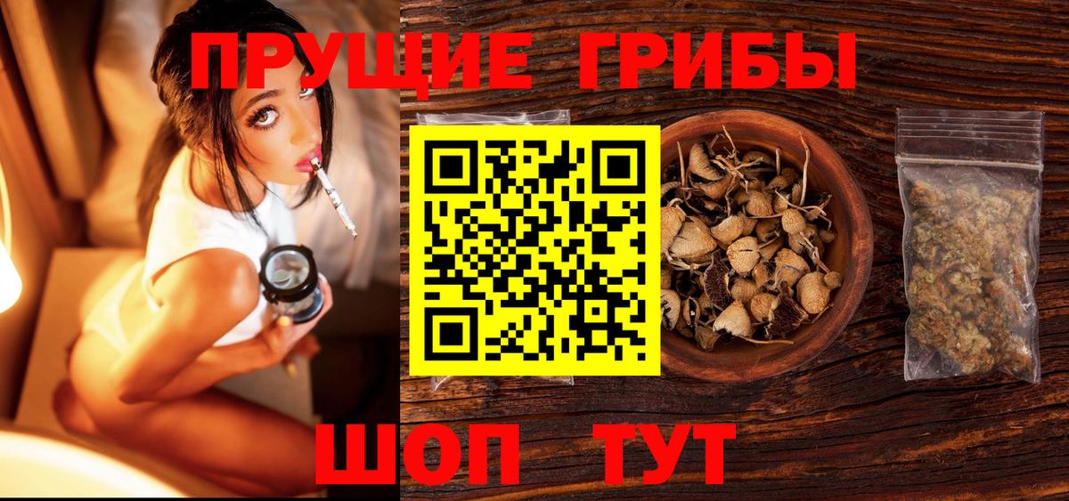 Псилоцибиновые грибы ЛСД Боровичи