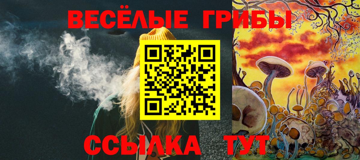 Псилоцибиновые грибы Magic Shrooms  Вход с VPN  Боровичи  Галлюциногенные грибы MAGIC MUSHROOMS 